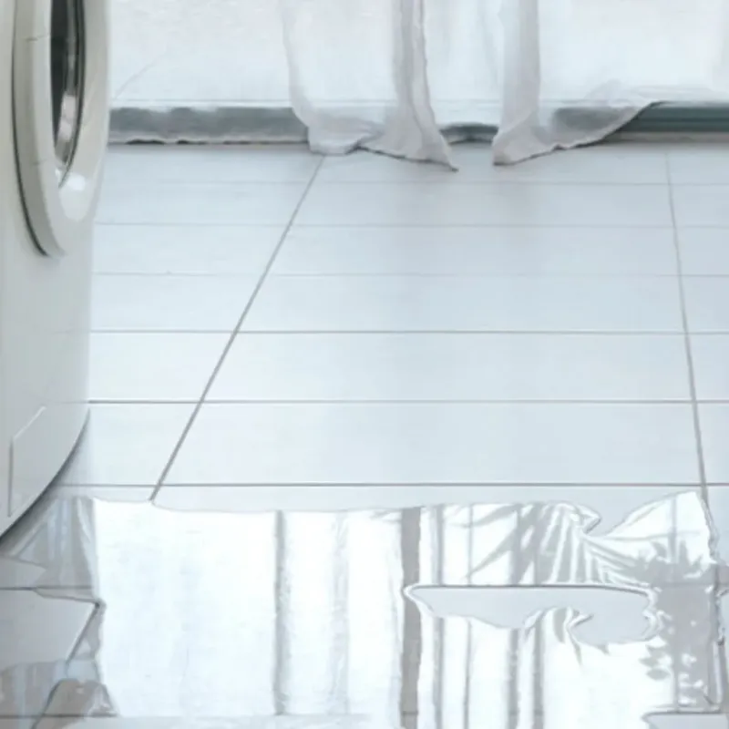 Appliance Leak Cleanup in Sainte Genevieve, MO