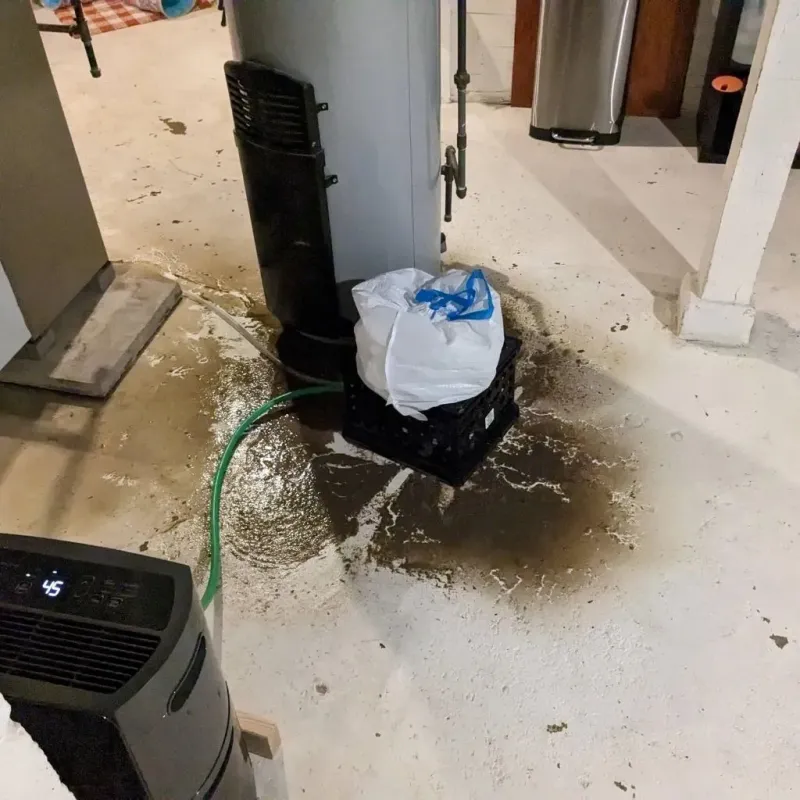 Sewage Backup Cleanup Service in Sainte Genevieve, MO
